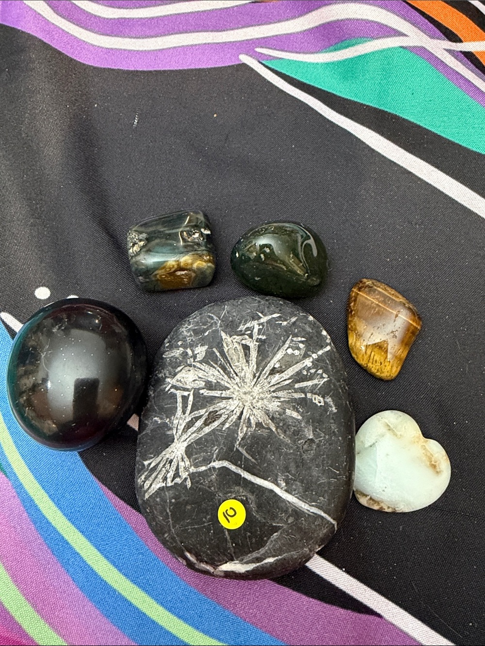 Assorted Polished Decorative Gemstone Set - Black, Green, Brown, Cream